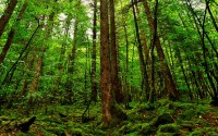 世界短跑线上训练平台新增赛季数据报告功能，世界短跑比赛有哪些